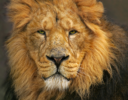 Date this hot United States man Vicmai from Bronx US5032