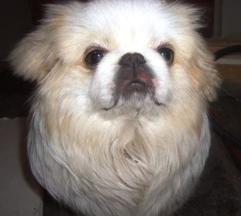 Date this lovely United States man Hybrid69 from Nowhere US5629