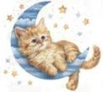 georgeous United States man  from Corpus Christi US5780