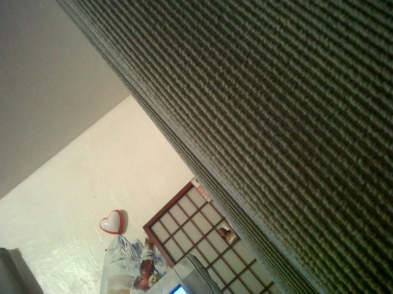 Date this charming United States man Mearse229 from Hempstead US6130