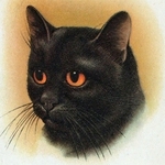 good-looking United States man  from Los Angeles US6727