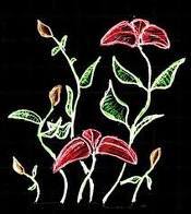 Date this tall United States girl Grace from New York City US6994