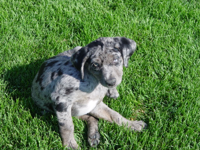 Date this passionate United States man Renoprocess from Reno US7107