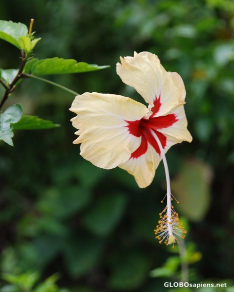 Date this charming United States man Vincent from Brooklyn US7757