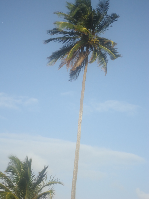 Date this passionate United States man Leocastro from Boston US11556