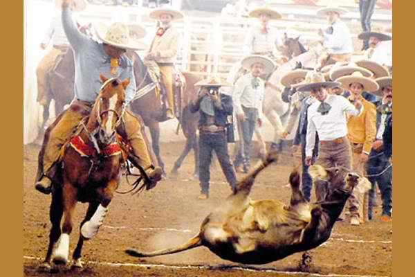 Date this passionate United States man Rachet89 from Sacramento US12186