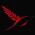 good-looking United States man  from Houston US13021