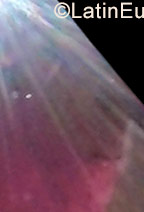 Date this hot Colombia girl Kari from Santa Marta CO23636