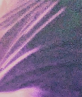 Date this charming Argentina girl Ayelen from Buenos Aires AR195